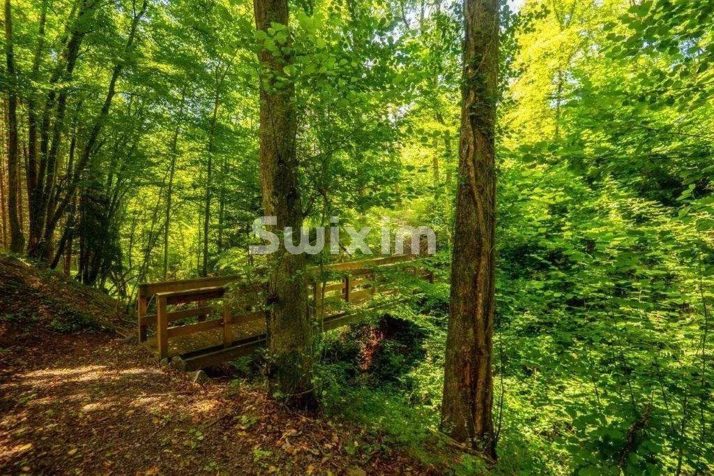 casa 11 Quartos para venda sobre Saint-Dié-des-Vosges (88100)