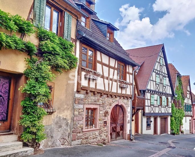 Venda Casa Zellenberg 10&nbsp;Quartos 240&nbsp;m²