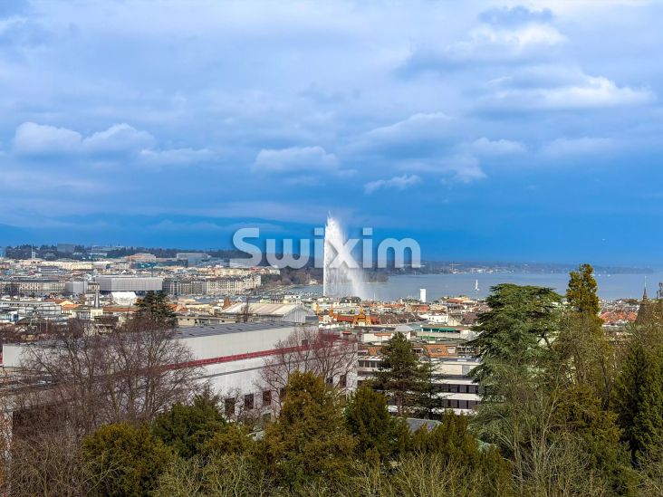 Venda Apartamento Genève 8&nbsp;Quartos 335&nbsp;m²