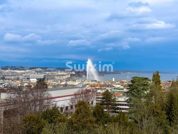 Venda Apartamento Genève 8&nbsp;Quartos 335&nbsp;m²