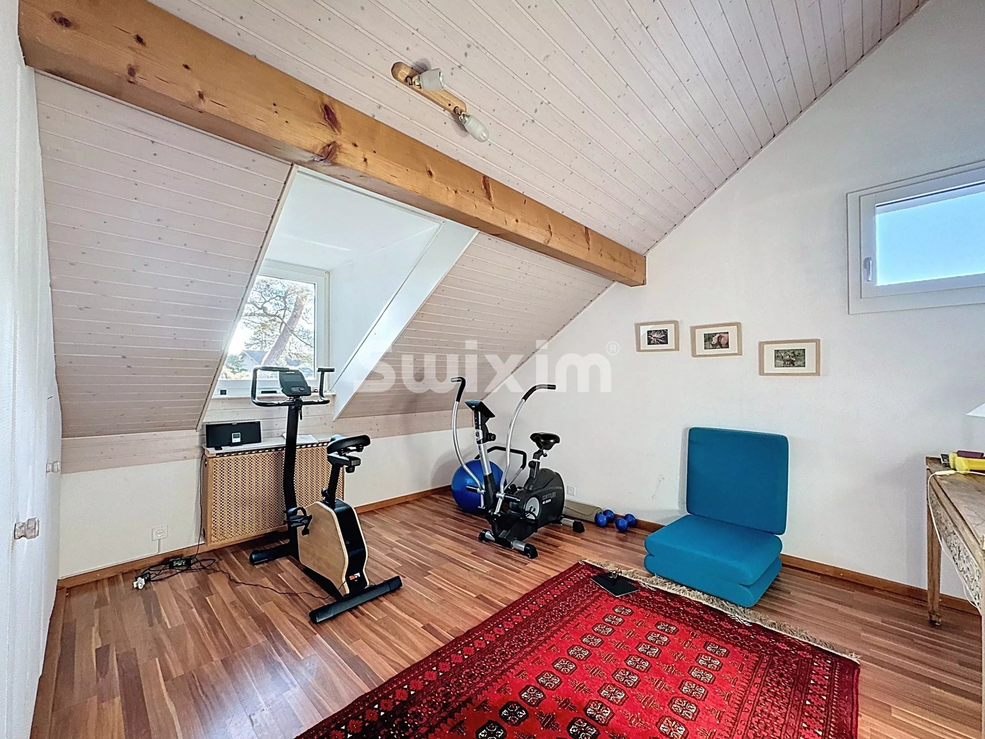 villa 11 Salas en venta en Coppet (1296)