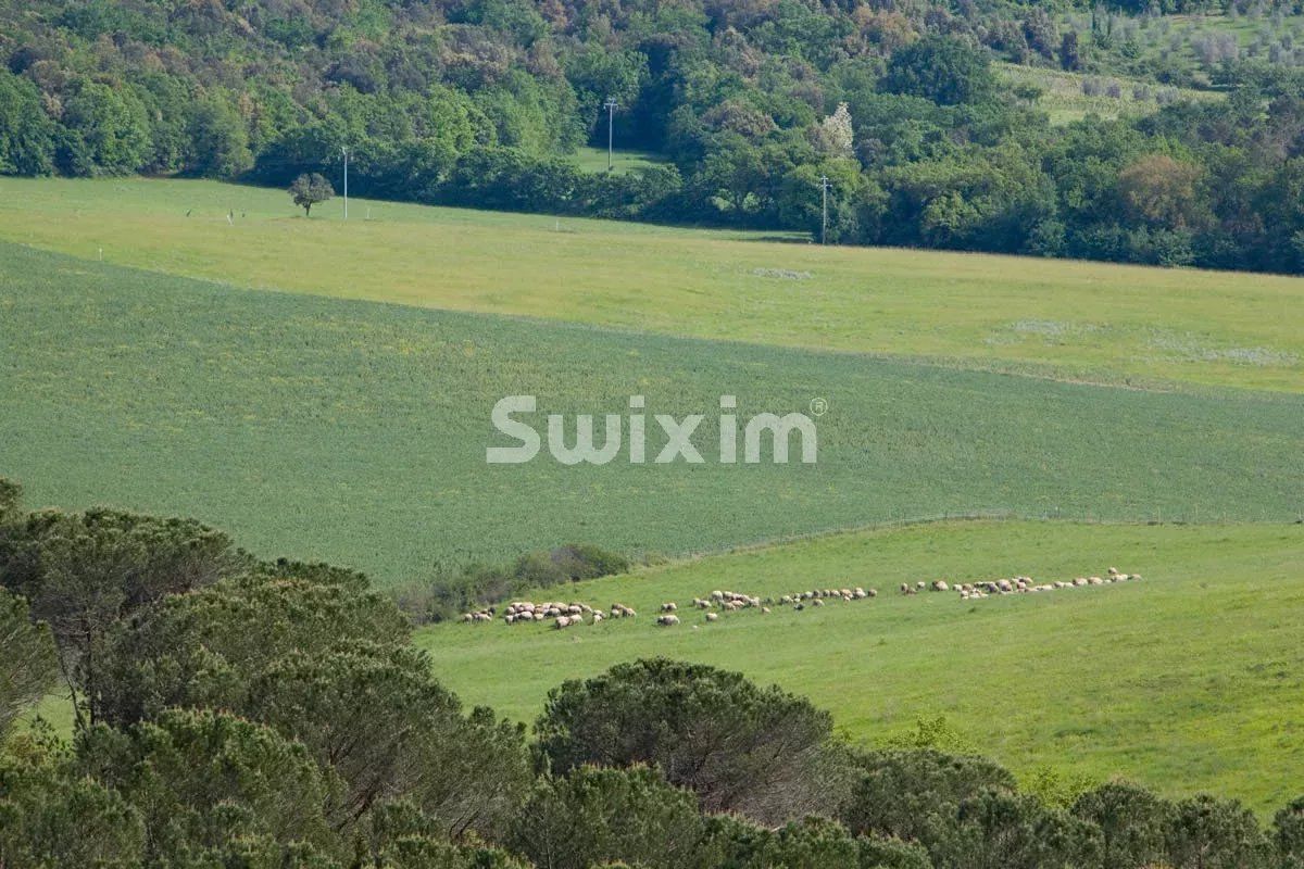 propriété 30 Pièces en vente sur Monteriggioni (53035)