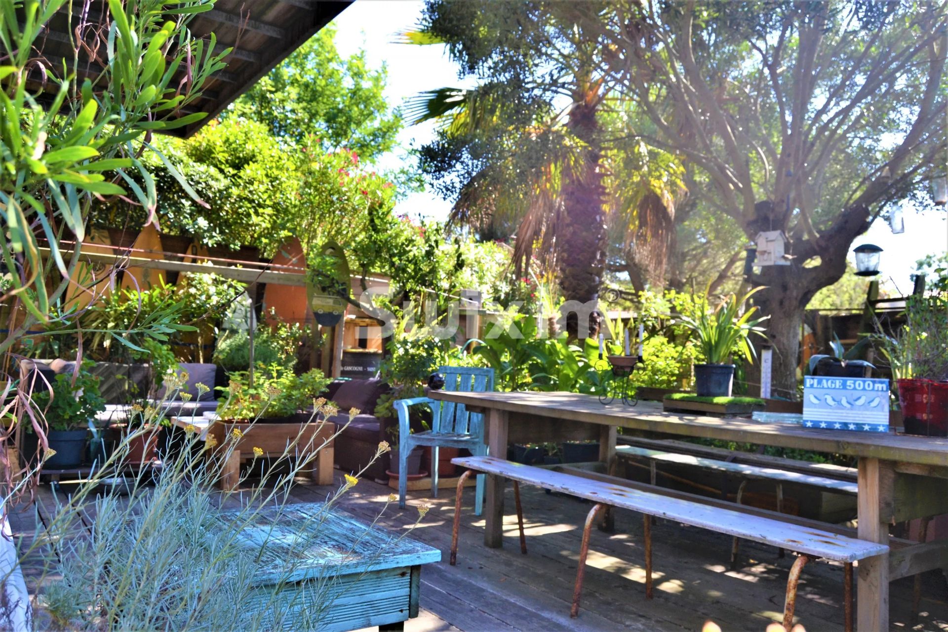 casa 4 Camere in vendita su Cap-Ferret (33950)