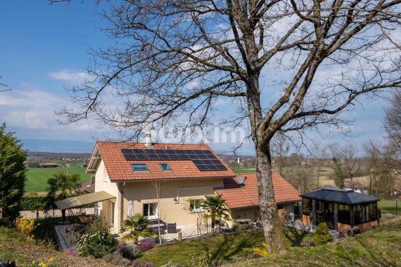 Sale House Massongy 5&nbsp;Rooms 179&nbsp;m²