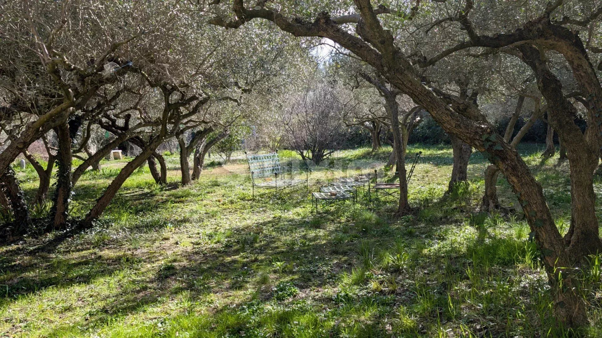 propriedade 8 Quartos para venda sobre Nîmes (30000)