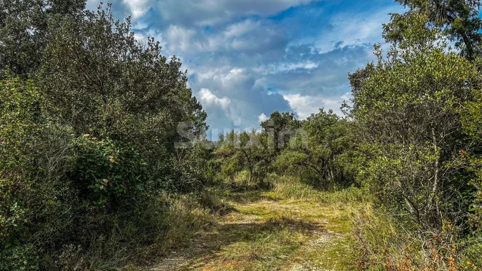 Sale Land Collias 2930&nbsp;m²
