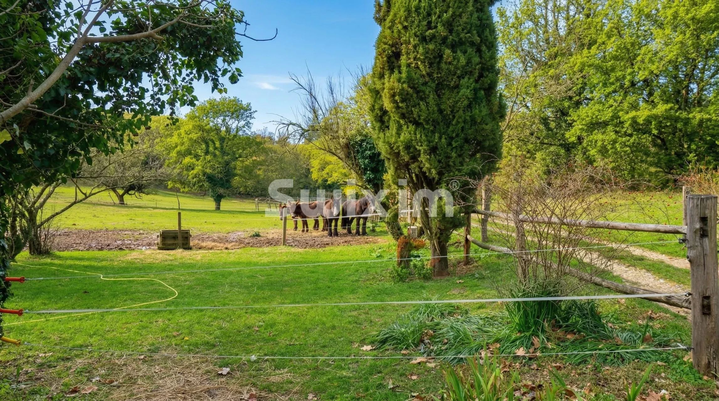 propriedade 8 Quartos para venda sobre Allan (26780)
