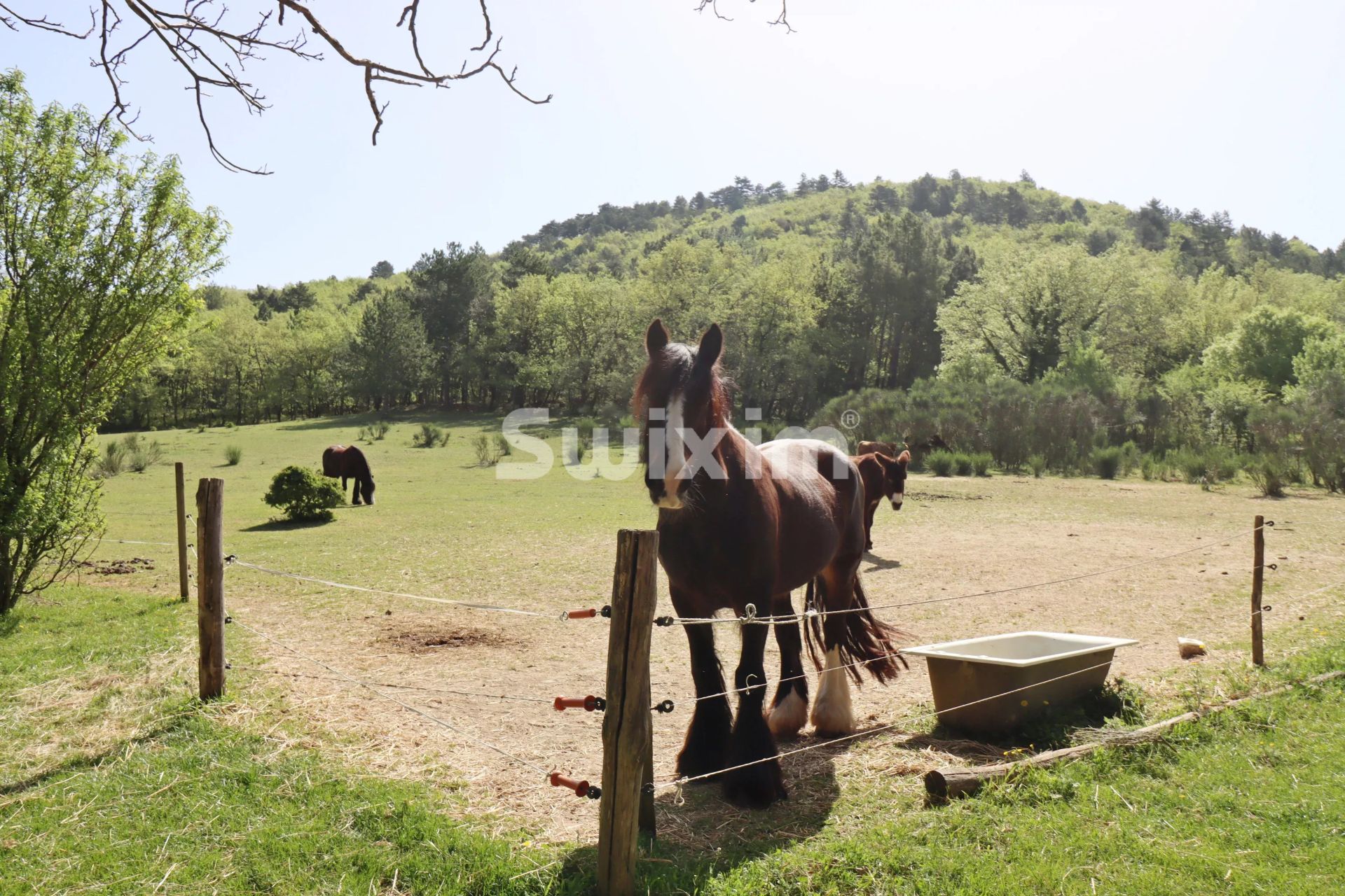 propriedade 8 Quartos para venda sobre Allan (26780)