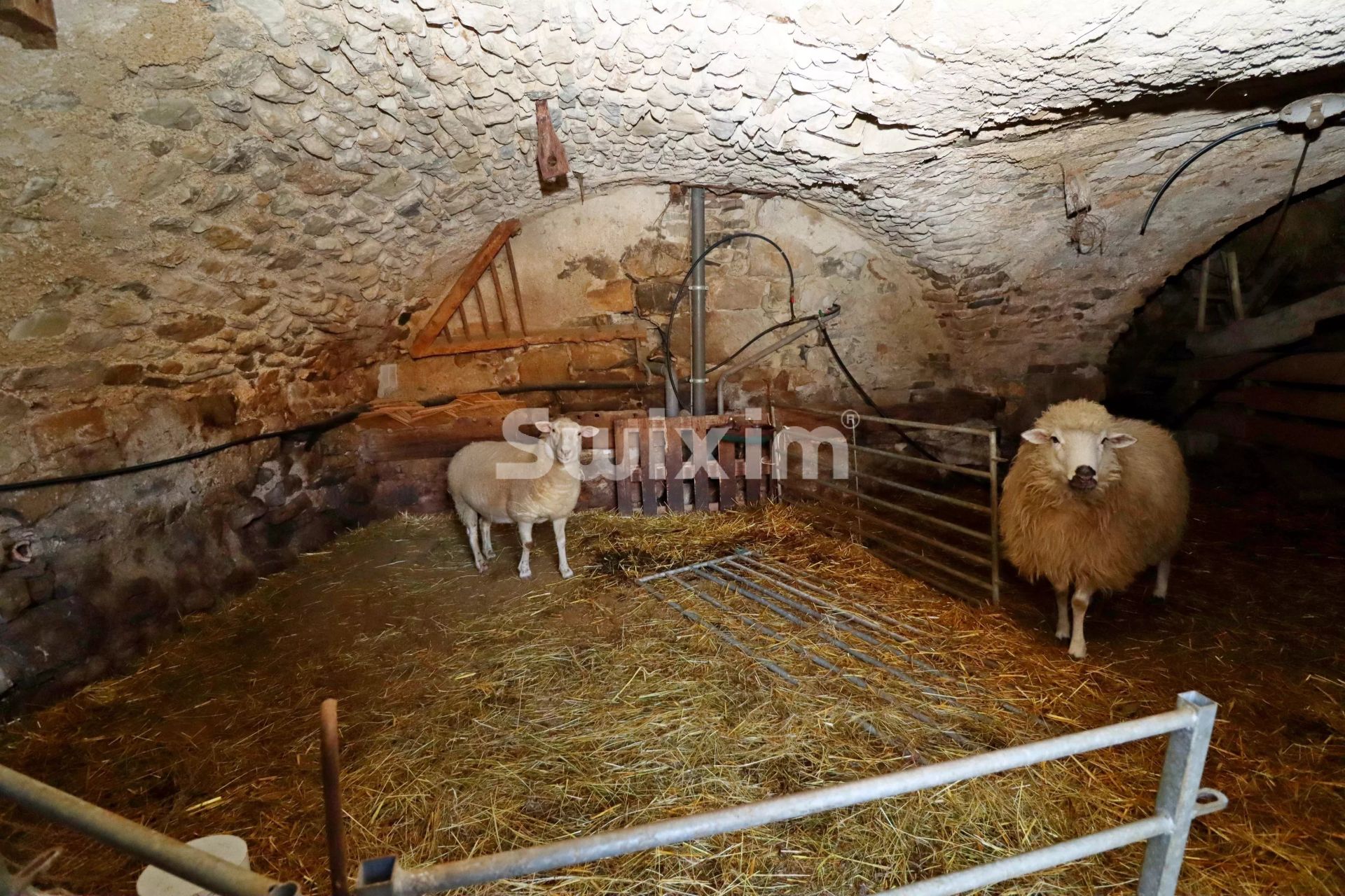 farmhouse 7 Rooms for sale on Gumiane (26470)