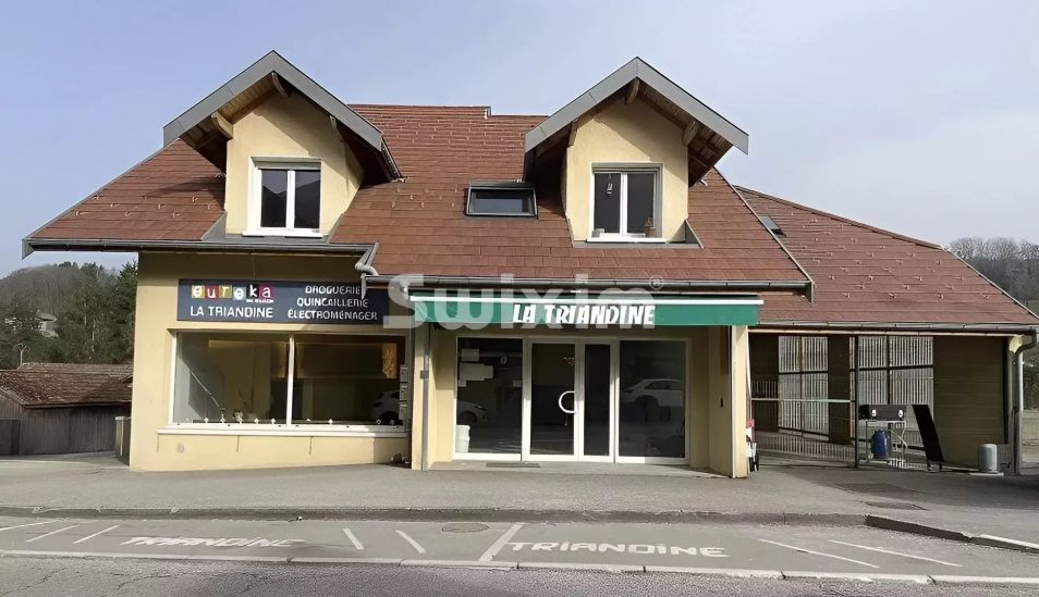 Venta Local comercial Thorens-Glières 240&nbsp;m²