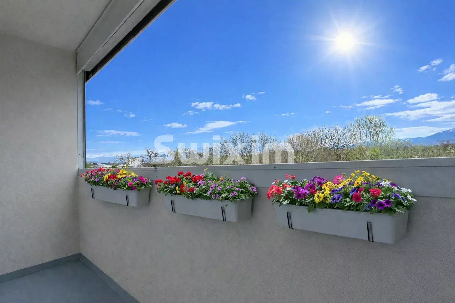 appartement 1 pièce en vente sur Ferney-Voltaire (01210)