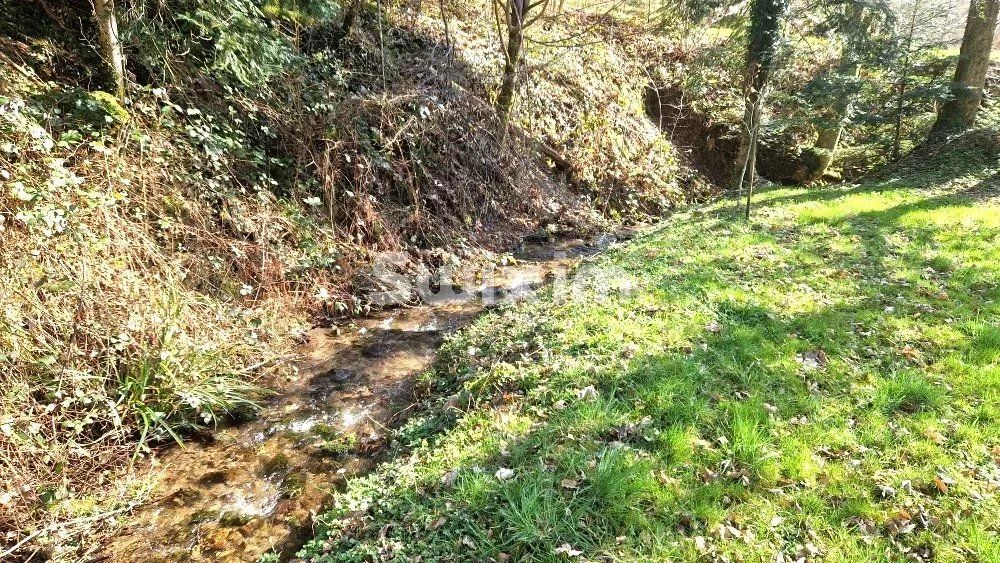 haus 6 Zimmer zum verkauf auf Wisembach (88520)