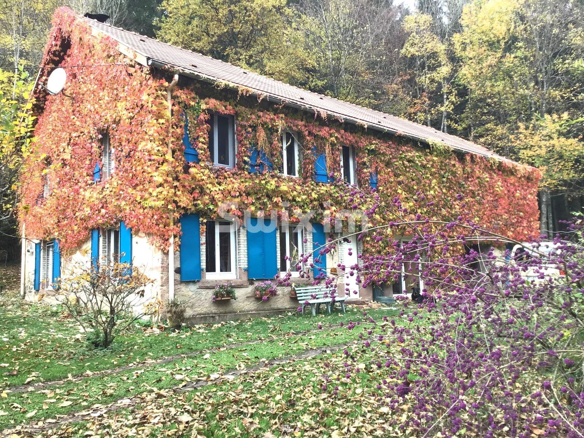 haus 6 Zimmer zum verkauf auf Wisembach (88520)