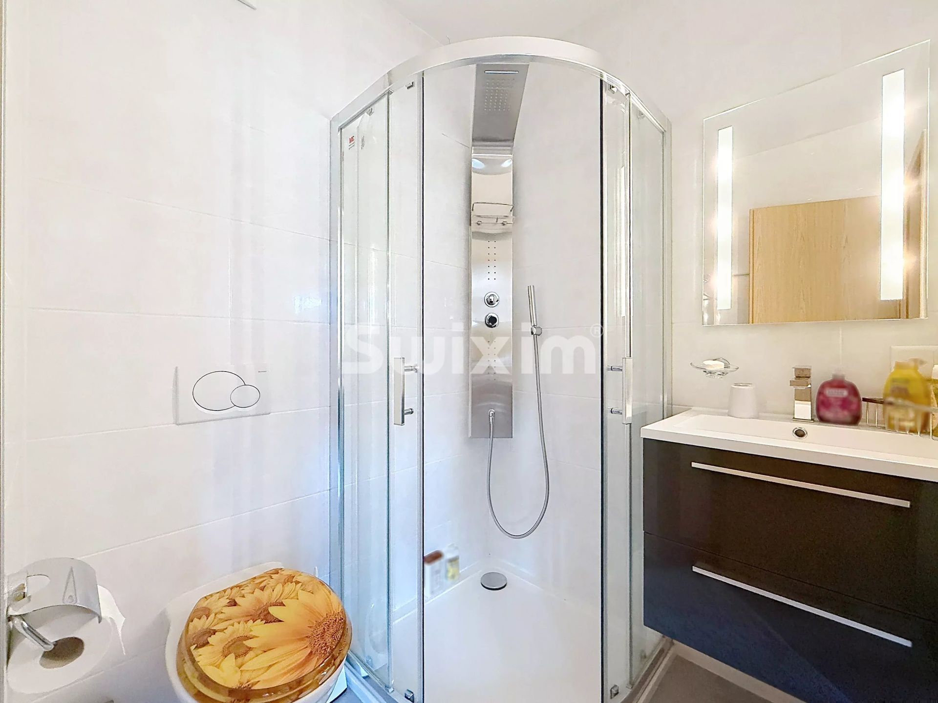 casa 7.5 Camere in vendita su Vernier (1214)