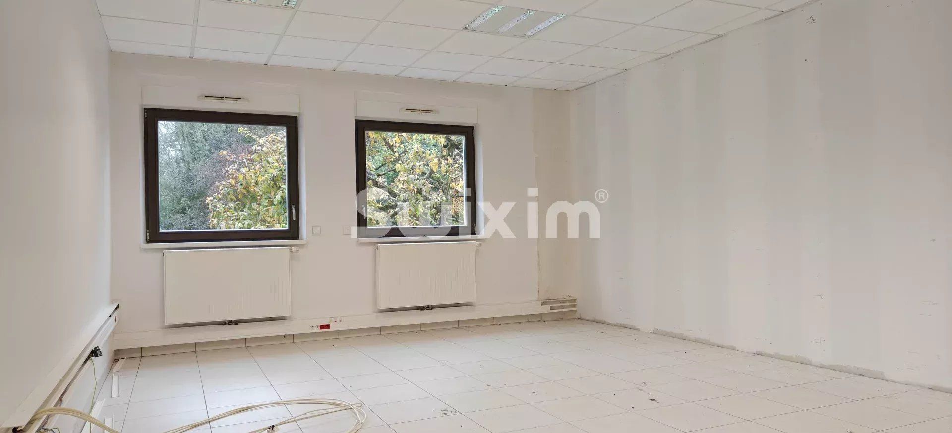 locales comerciales 12 Salas en alquiler en Sélestat (67600)