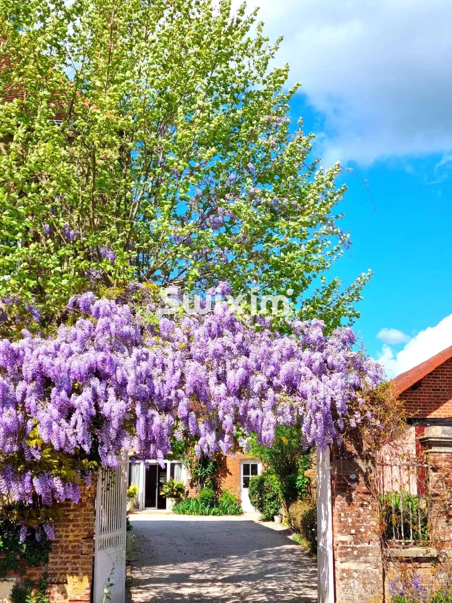 casa 10 Salas en venta en Saint-Germain-du-Bois (71330)