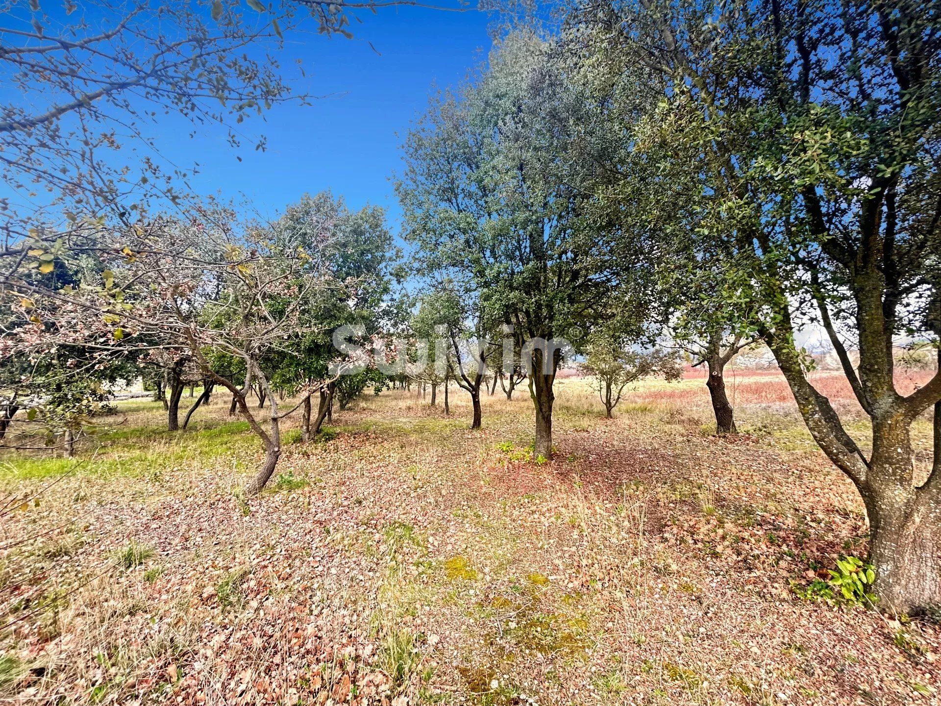 maison 5 Pièces en vente sur Valréas (84600)