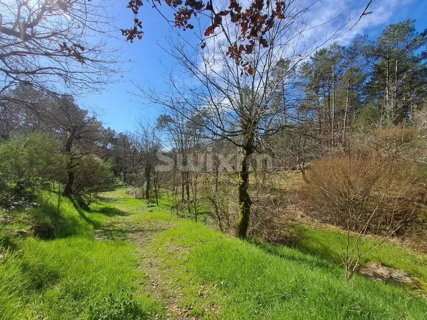 casa 3 Quartos para venda sobre Gagnières (30160)