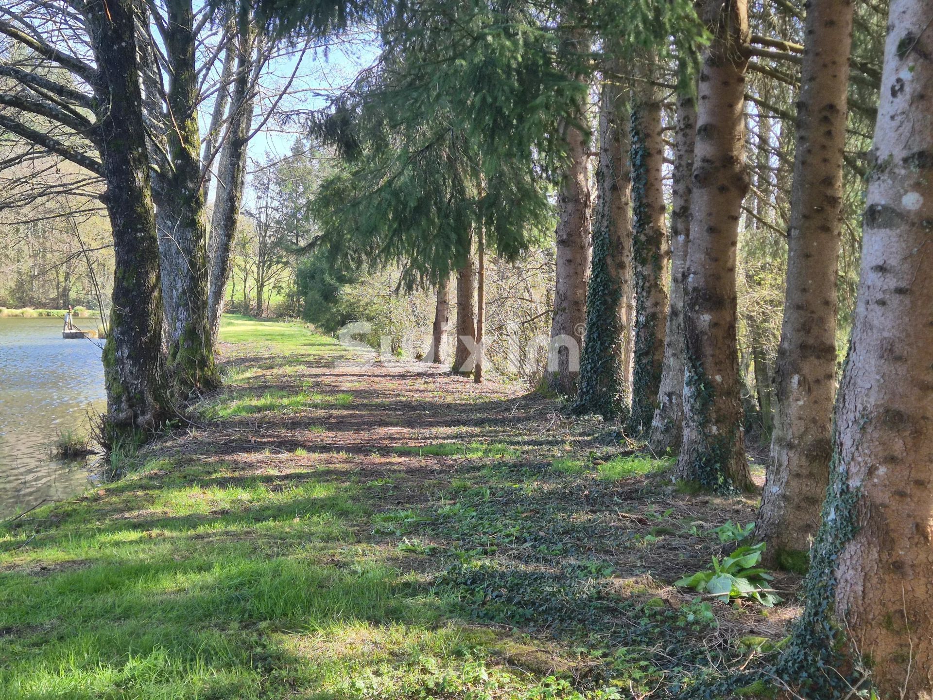 grundst&uuml;ck zum verkauf auf Lormes (58140)