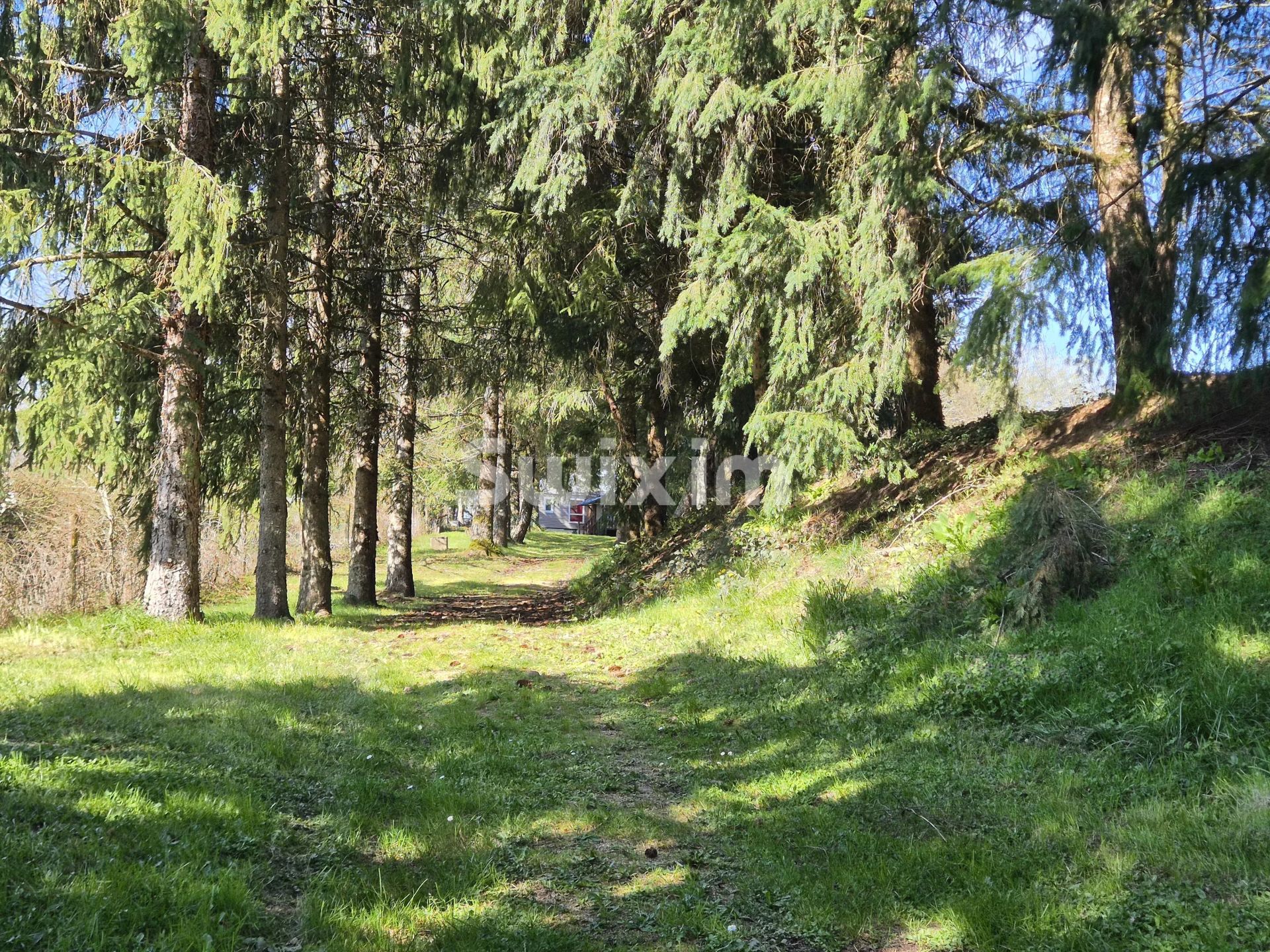 grundst&uuml;ck zum verkauf auf Lormes (58140)