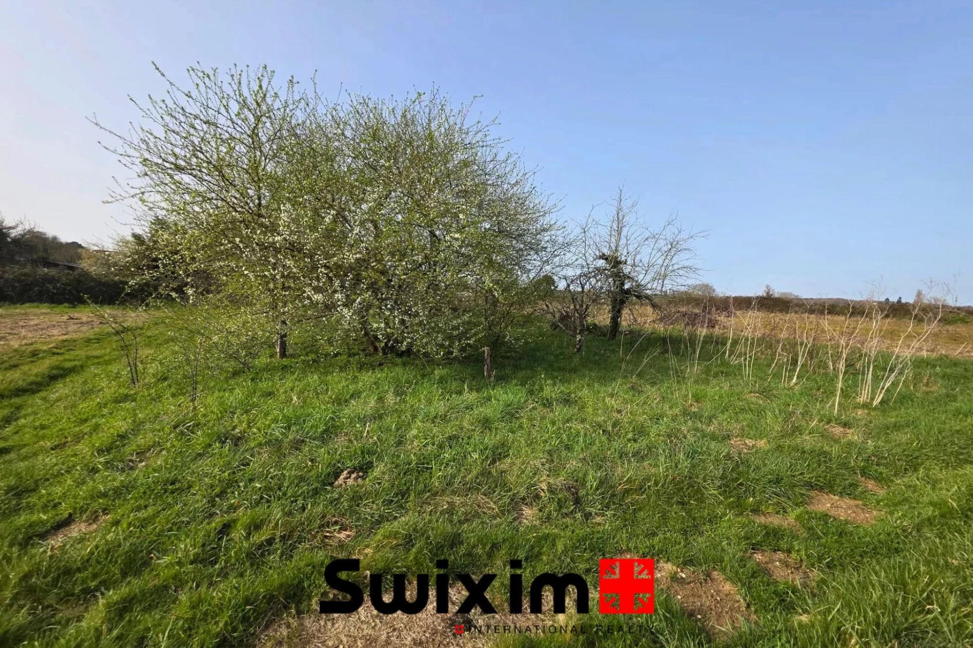 buildable land for sale on Saint-Germain-d'Esteuil (33340)