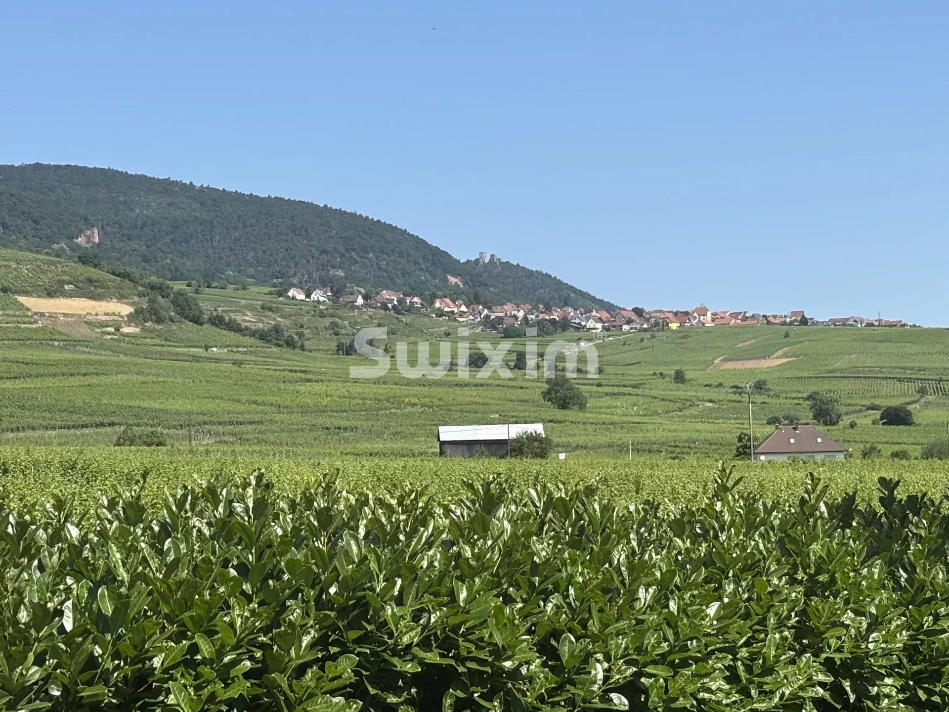 Sale House Gueberschwihr 5&nbsp;Rooms 120&nbsp;m²