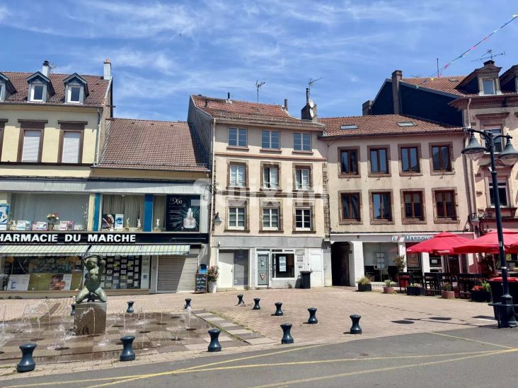 Vendita Immobile Sarrebourg 25&nbsp;Camere 581&nbsp;m²