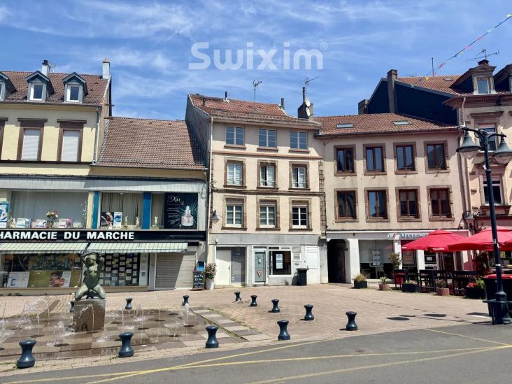 Vente Immeuble Sarrebourg 25&nbsp;Pièces 581&nbsp;m²