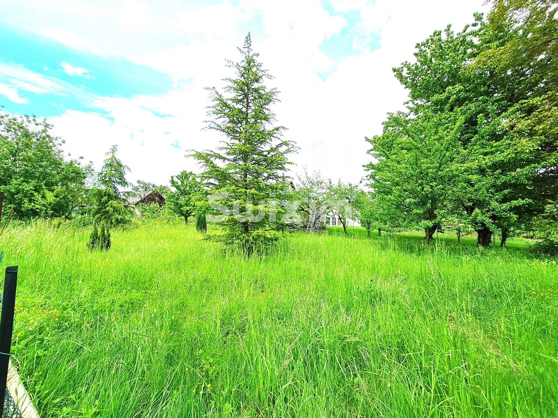 Verkauf Haus Obenheim 6&nbsp;Zimmer 100&nbsp;m²