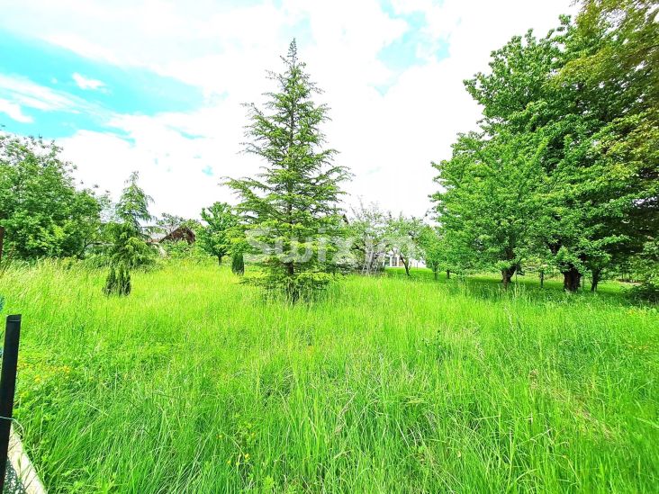 Verkauf Haus Obenheim 6&nbsp;Zimmer 100&nbsp;m²