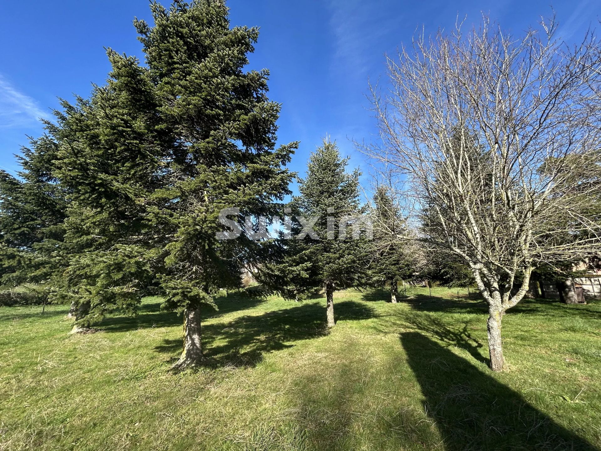 terreno in vendita su Sainte-Magnance (89420)