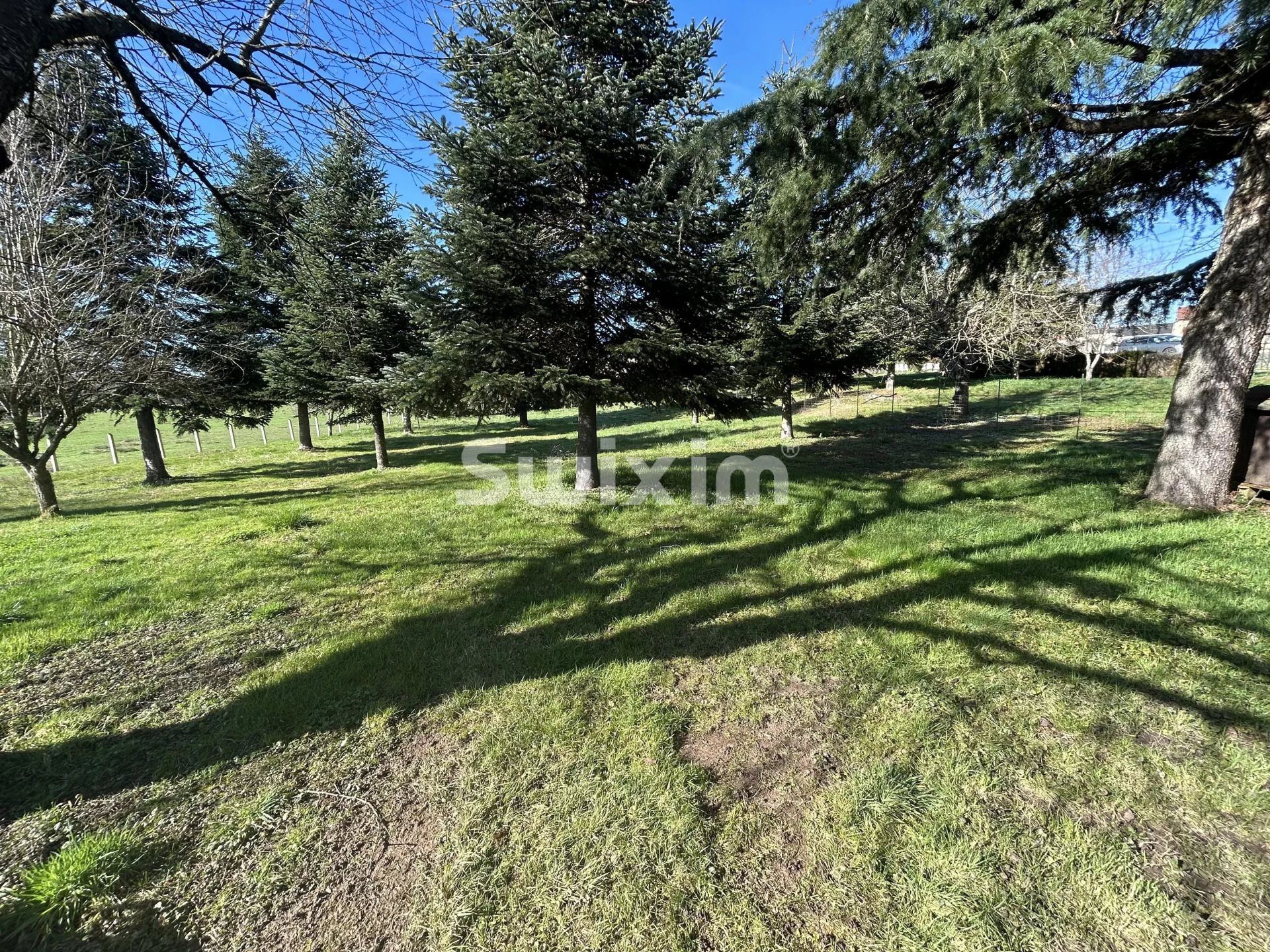 terreno in vendita su Sainte-Magnance (89420)