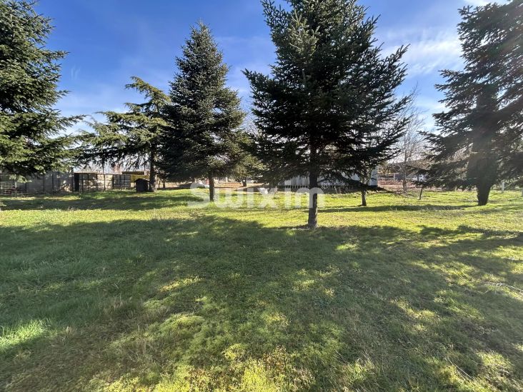Vente Terrain à bâtir Sainte-Magnance