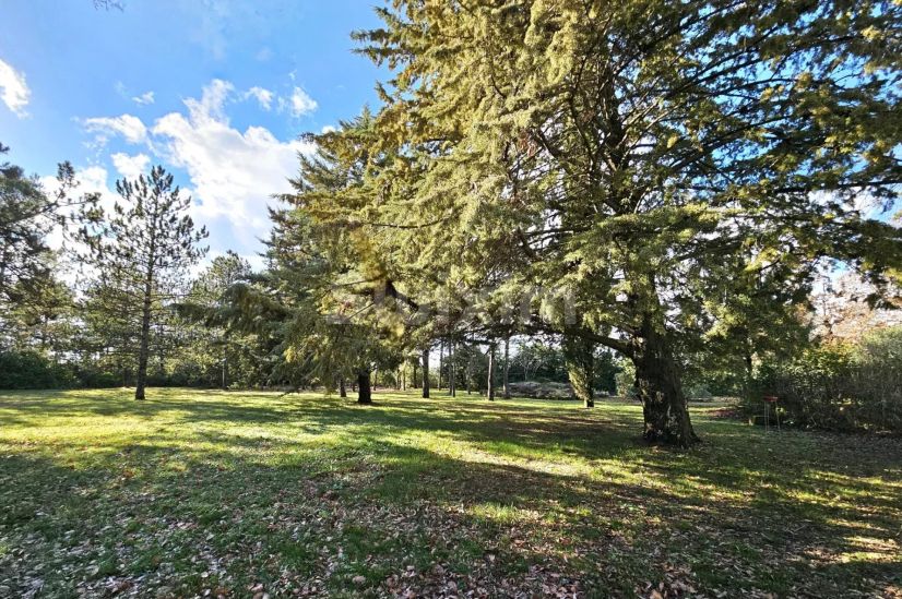 Vente Maison Monteils 6&nbsp;Pièces 205&nbsp;m²