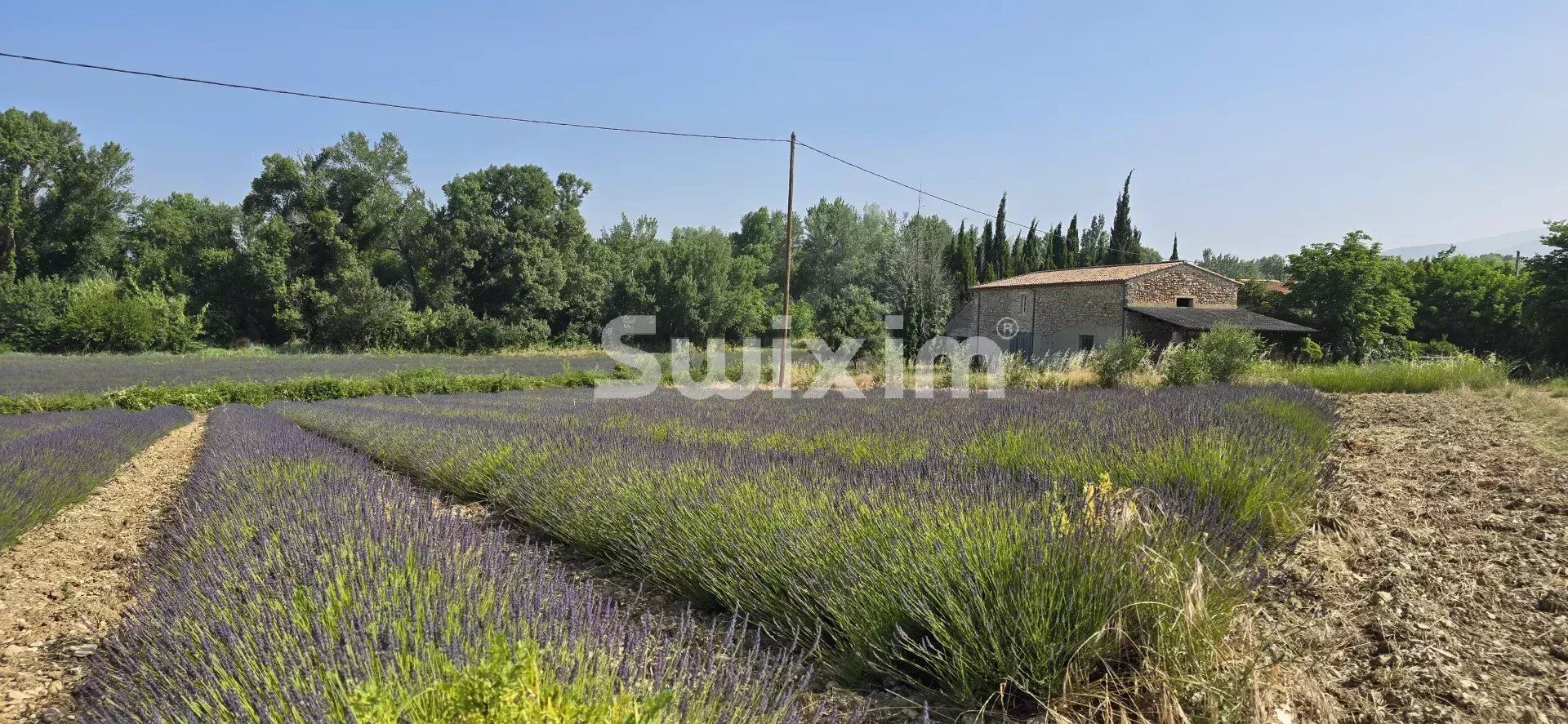 fattoria 9 Camere in vendita su Taulignan (26770)