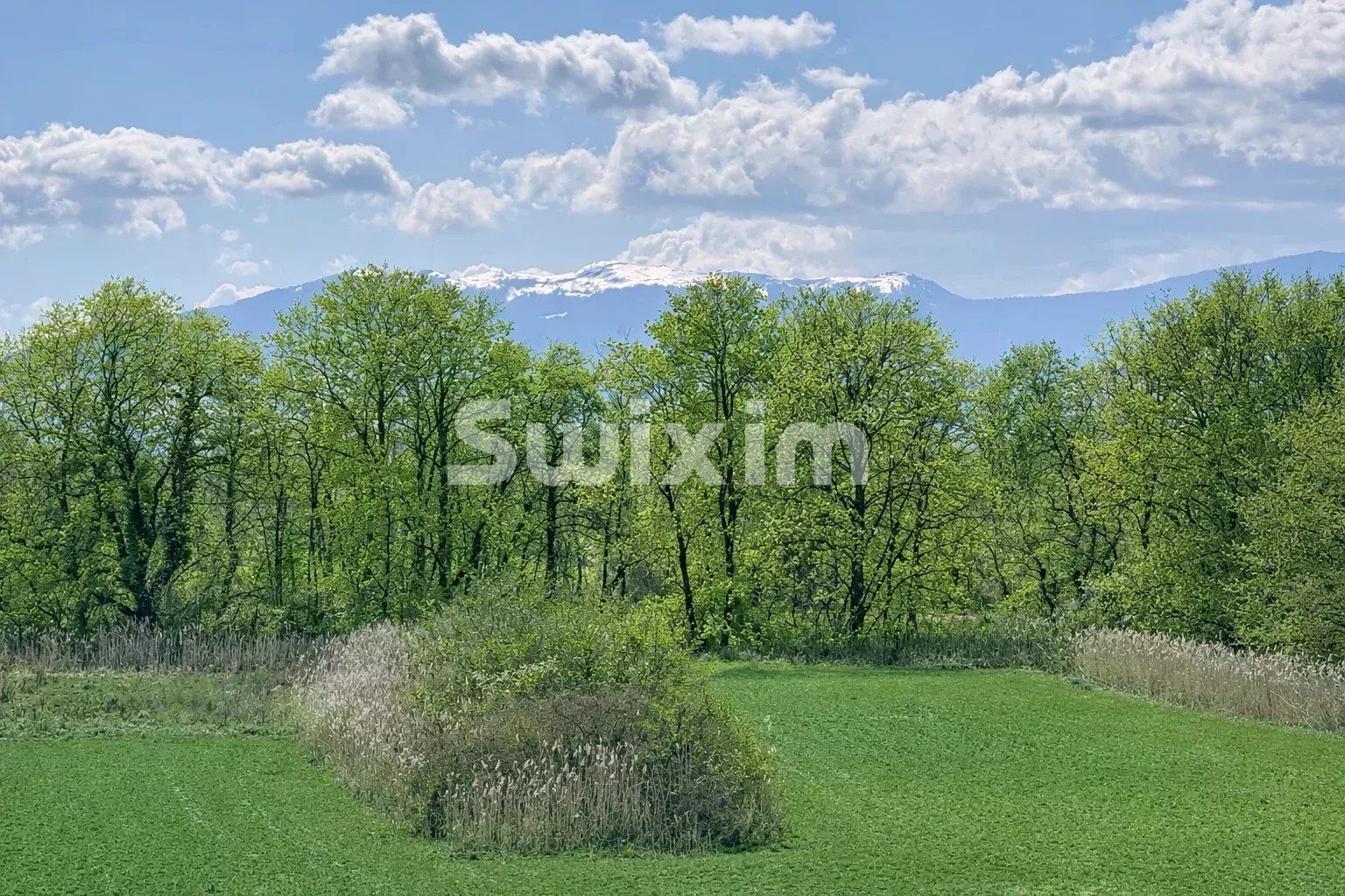 appartement 2 Pièces en vente sur Ornex (01210)