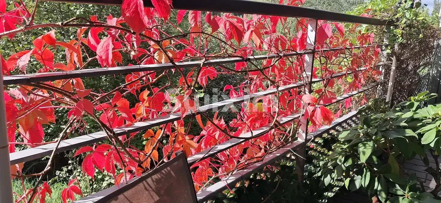 maison 4 Pièces en vente sur Strasbourg (67000)