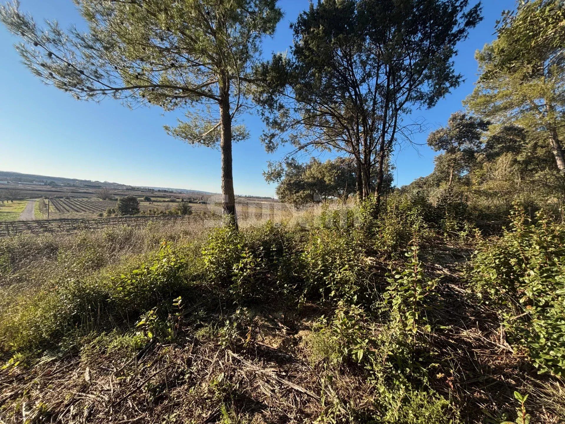 terreno in vendita su Vers-Pont-du-Gard (30210)