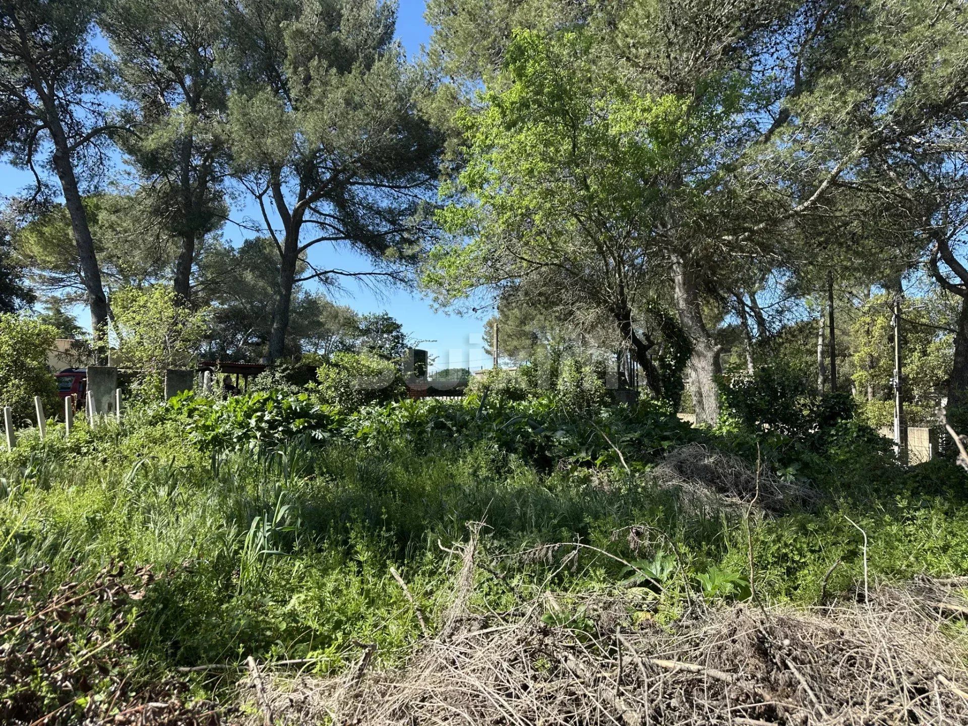 terreno in vendita su Langlade (30980)