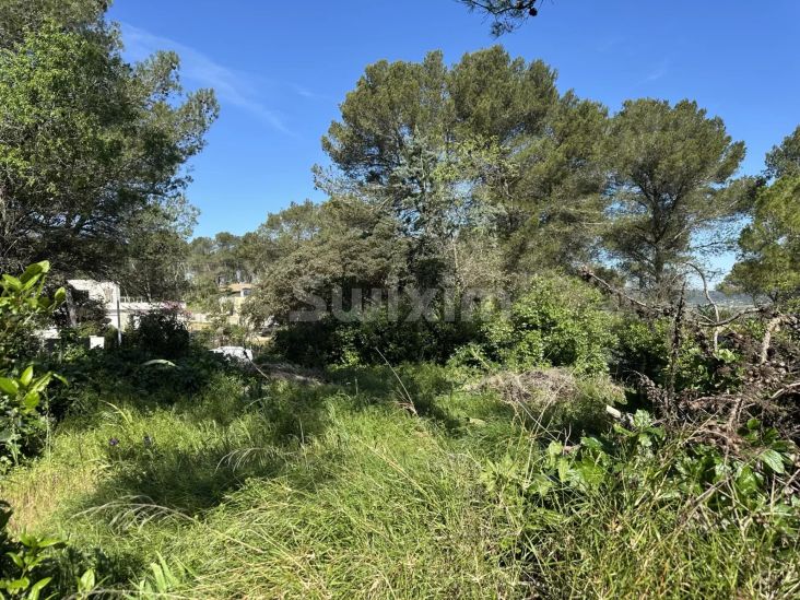 Vendita Terreno Langlade 1000&nbsp;m²