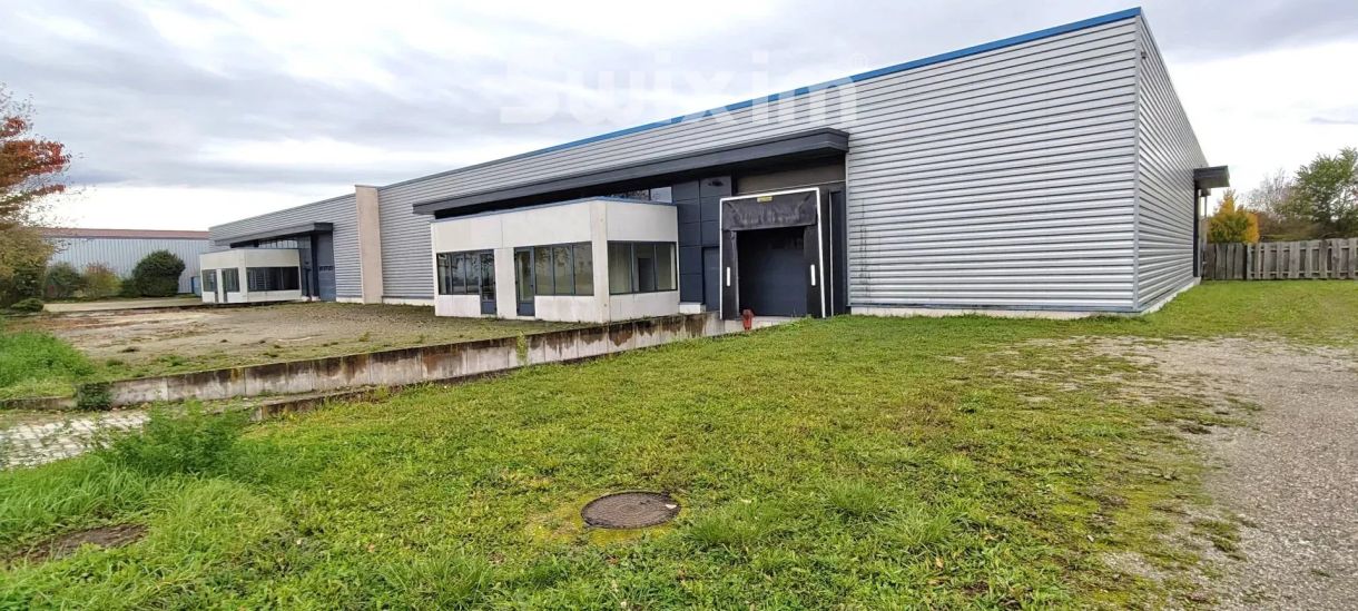 Vendita Locale di attività Sélestat 1000&nbsp;m²