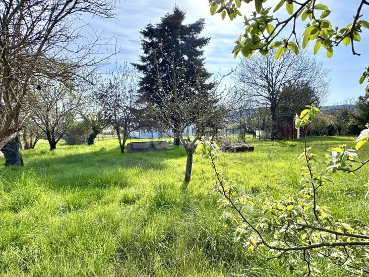 Vendita Terreno Saint-Julien-les-Rosiers 1054&nbsp;m²