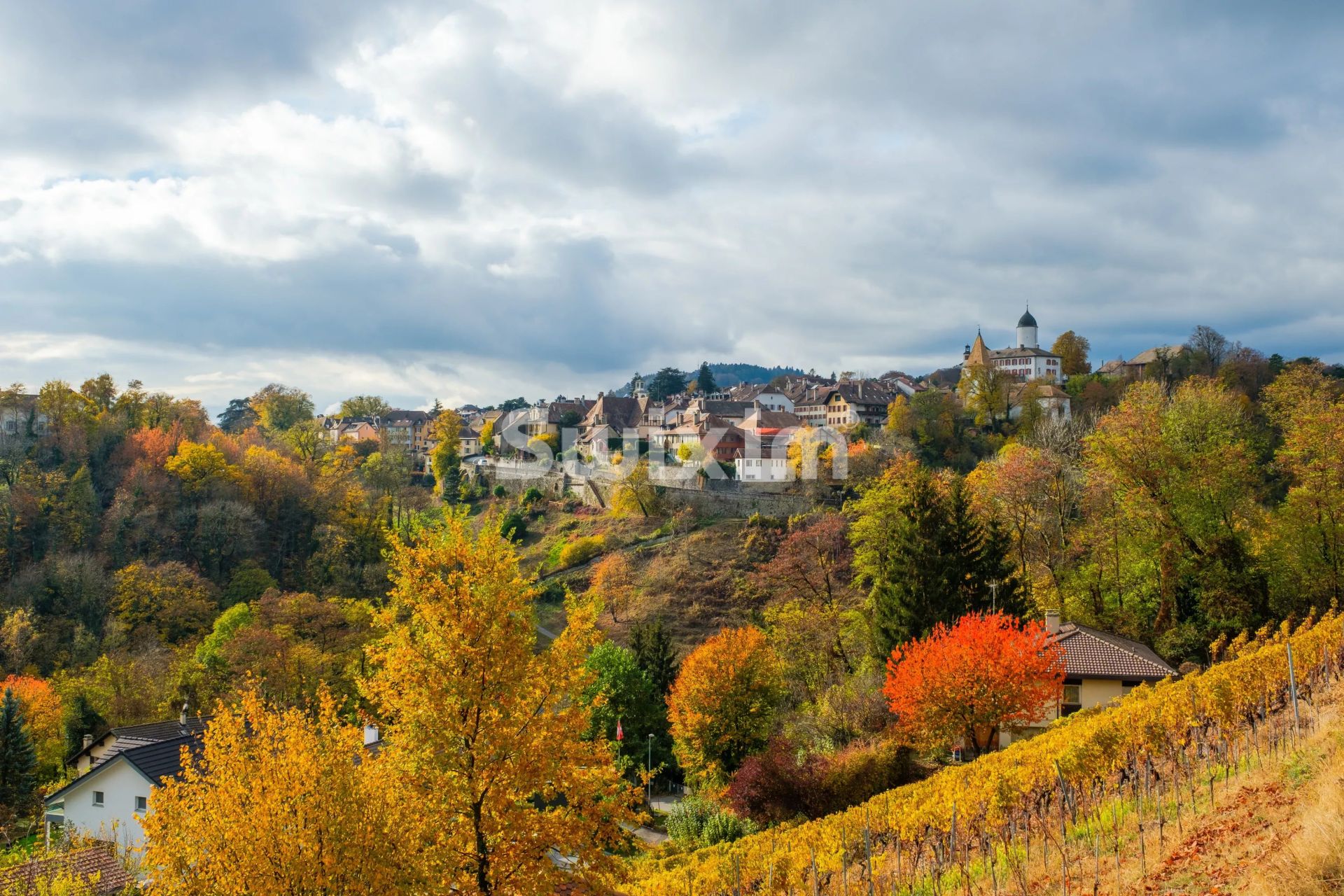 appartement 5.5 Zimmer zum verkauf auf Morges (1110)