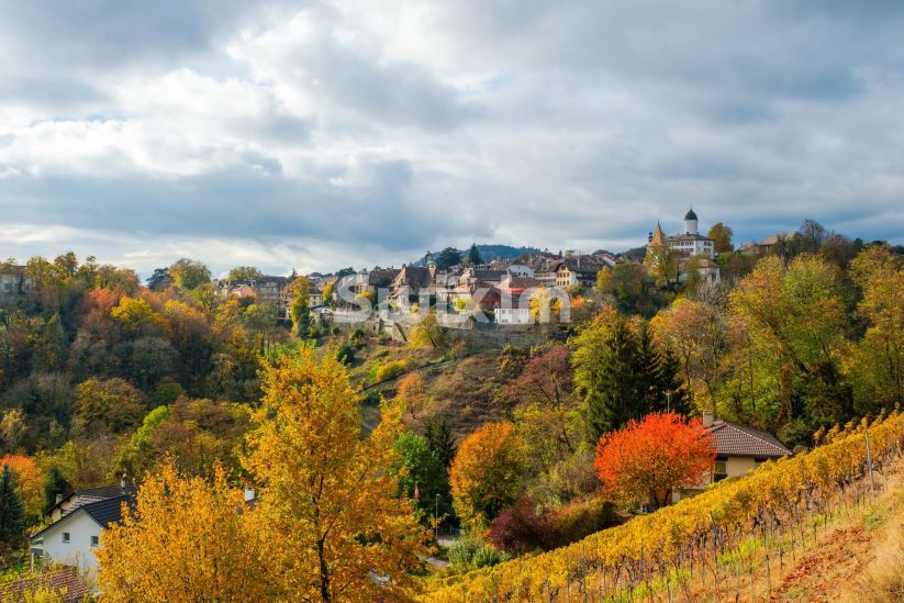 Verkauf Appartement Morges 5.5&nbsp;Zimmer 120&nbsp;m²