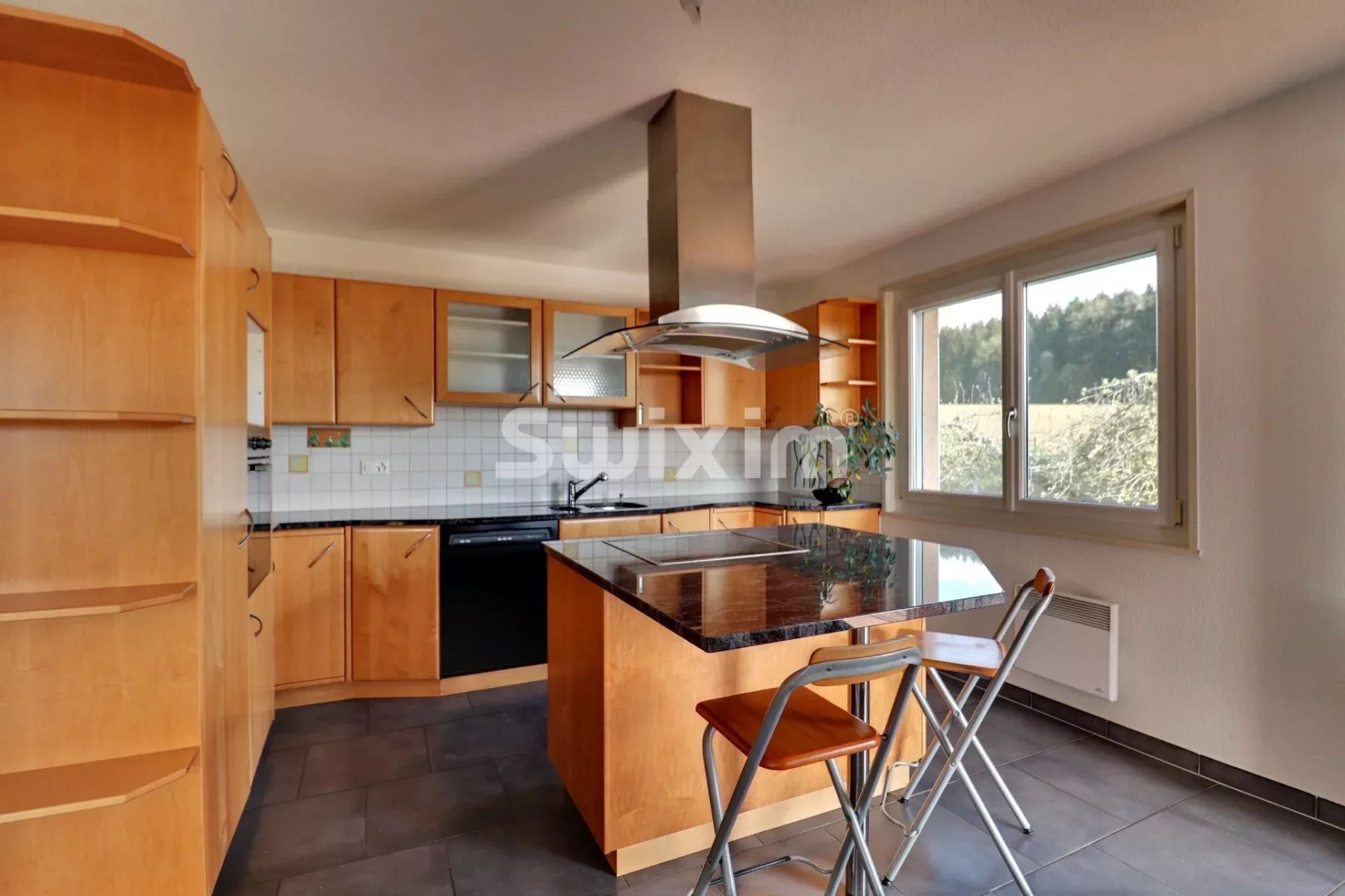 maison 10 Pièces en vente sur Palézieux (1607)