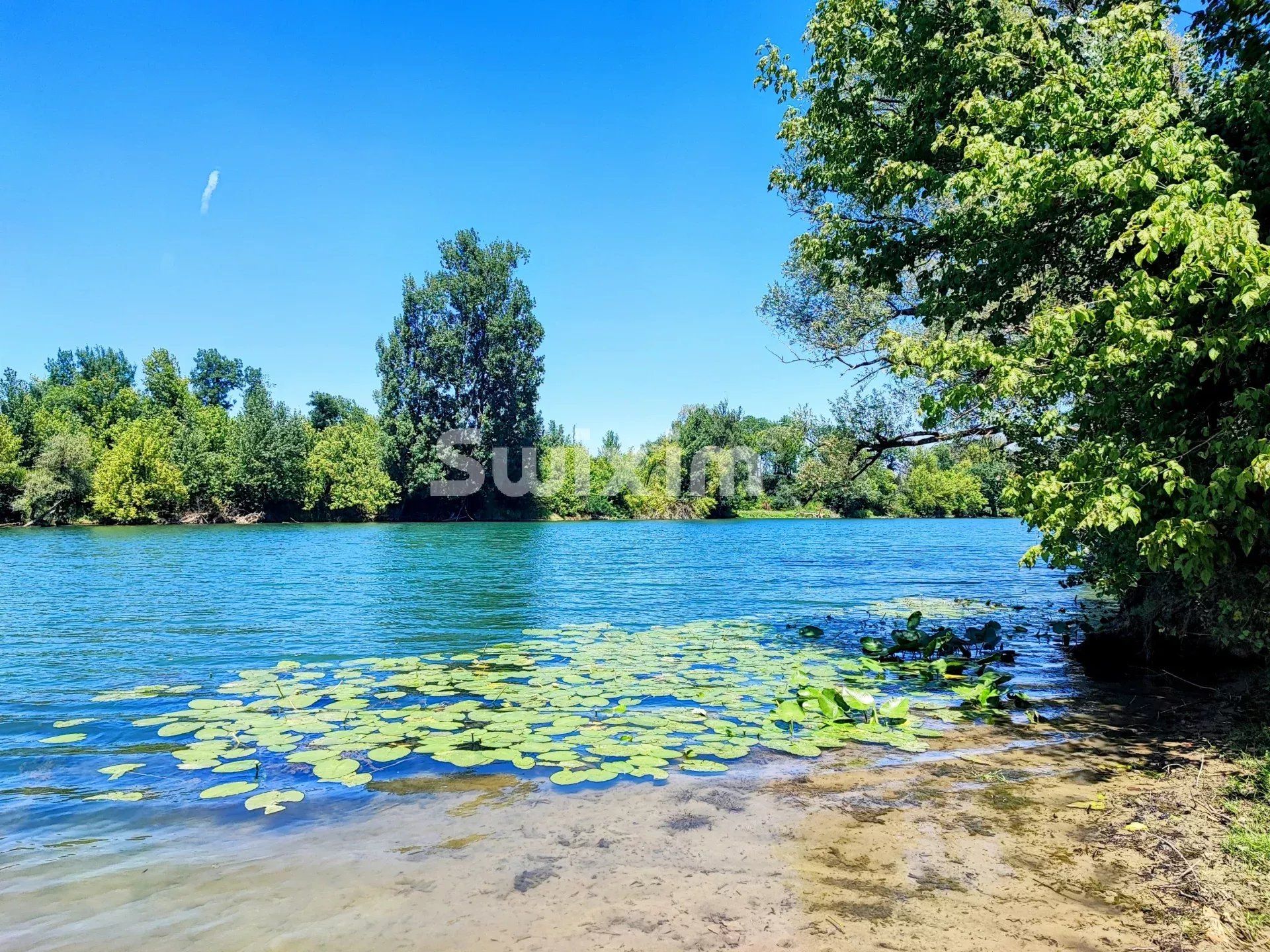 propriété 8 Pièces en vente sur Seurre (21250)