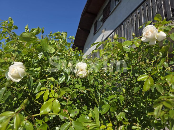 Venta Casa Culoz 4&nbsp;Salas 117.81&nbsp;m²