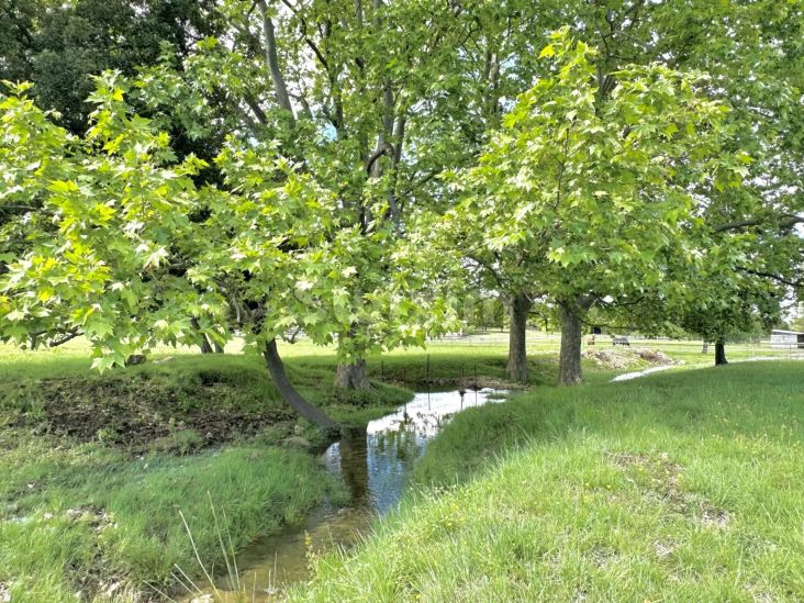 Vente Propriété Clarensac 5&nbsp;Pièces 216&nbsp;m²