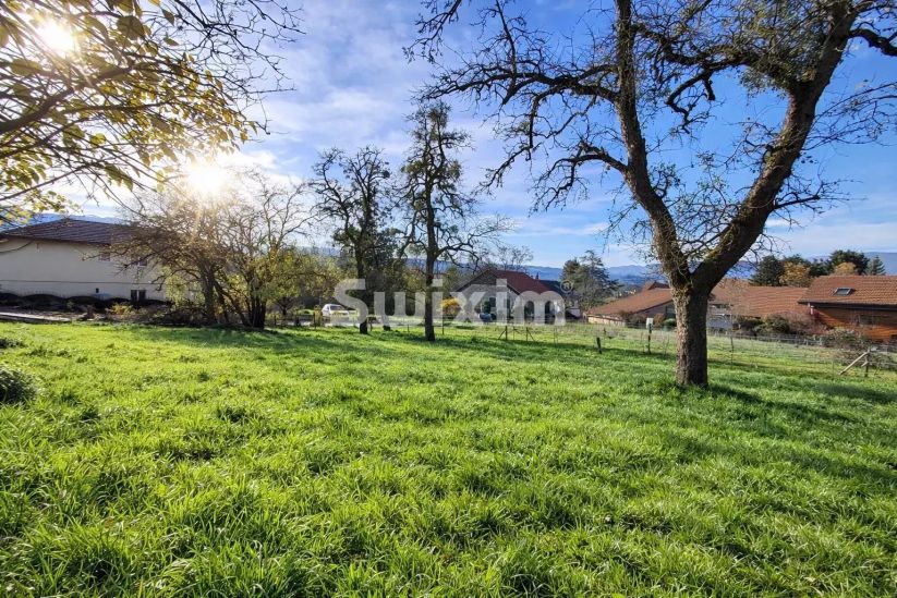 Vendita Terreno edificabile Contamine-sur-Arve 550&nbsp;m²