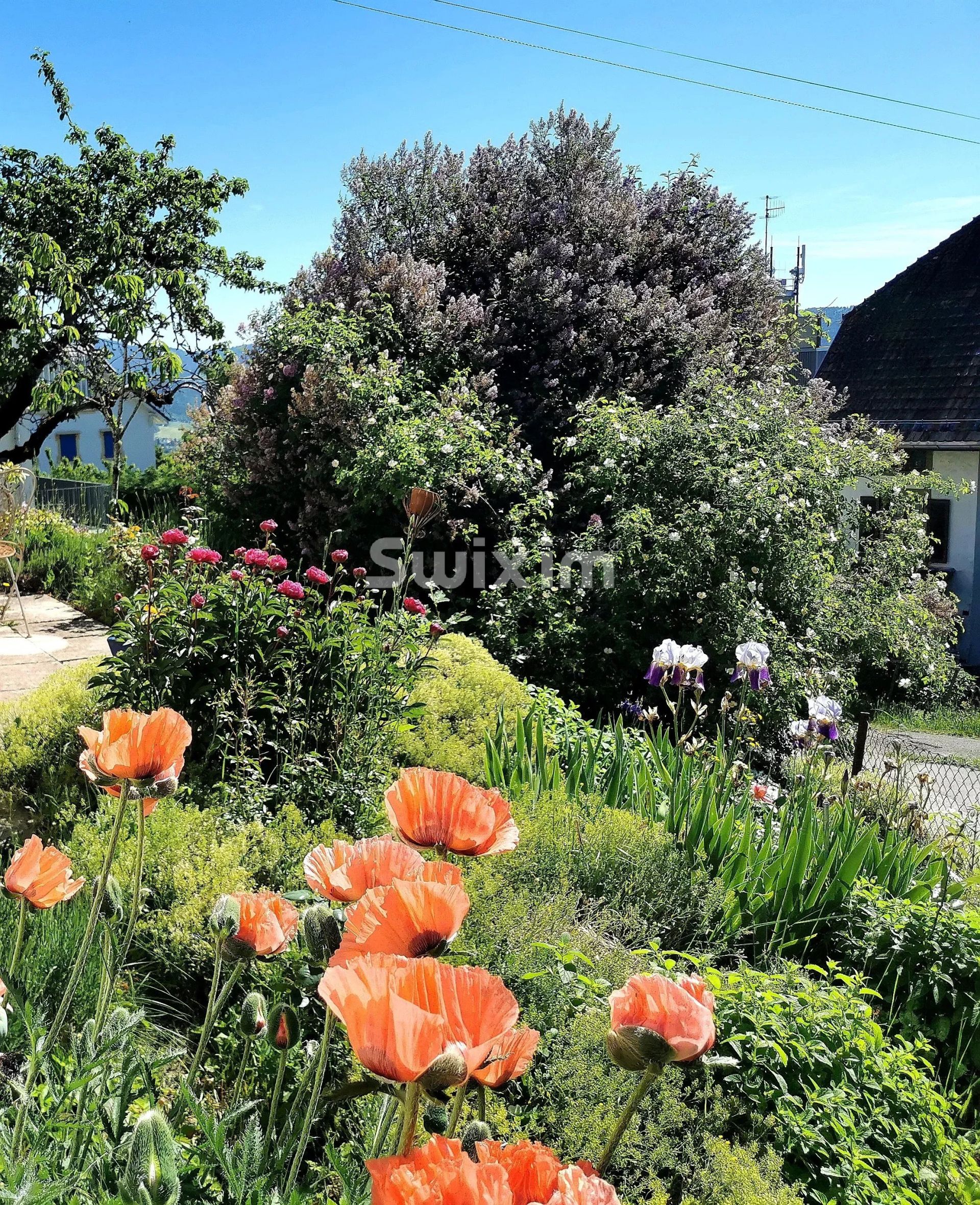 casa 7 Salas en venta en Neuchâtel (2000)